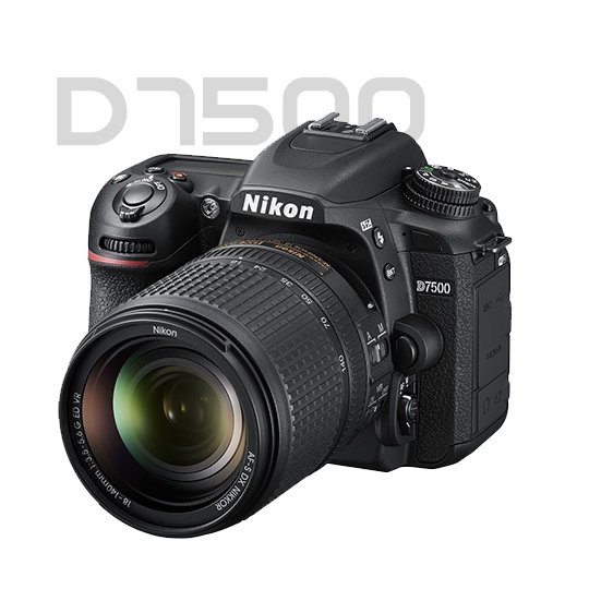 BigBiteOffers-Nikon D7500